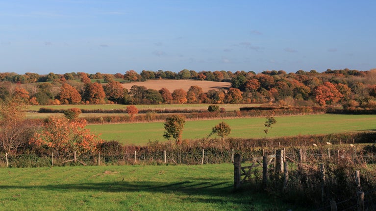 Autumnal colours across the Sissinghurst estate